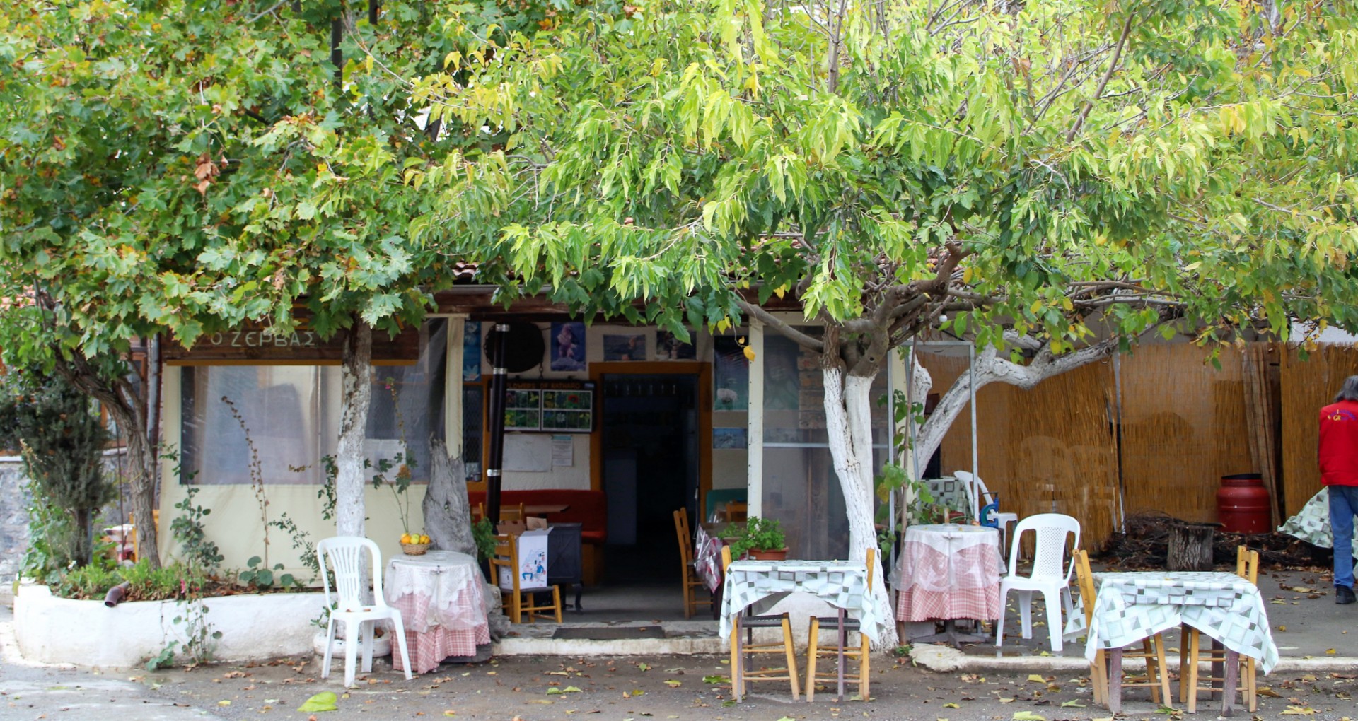 Taverna Zervas